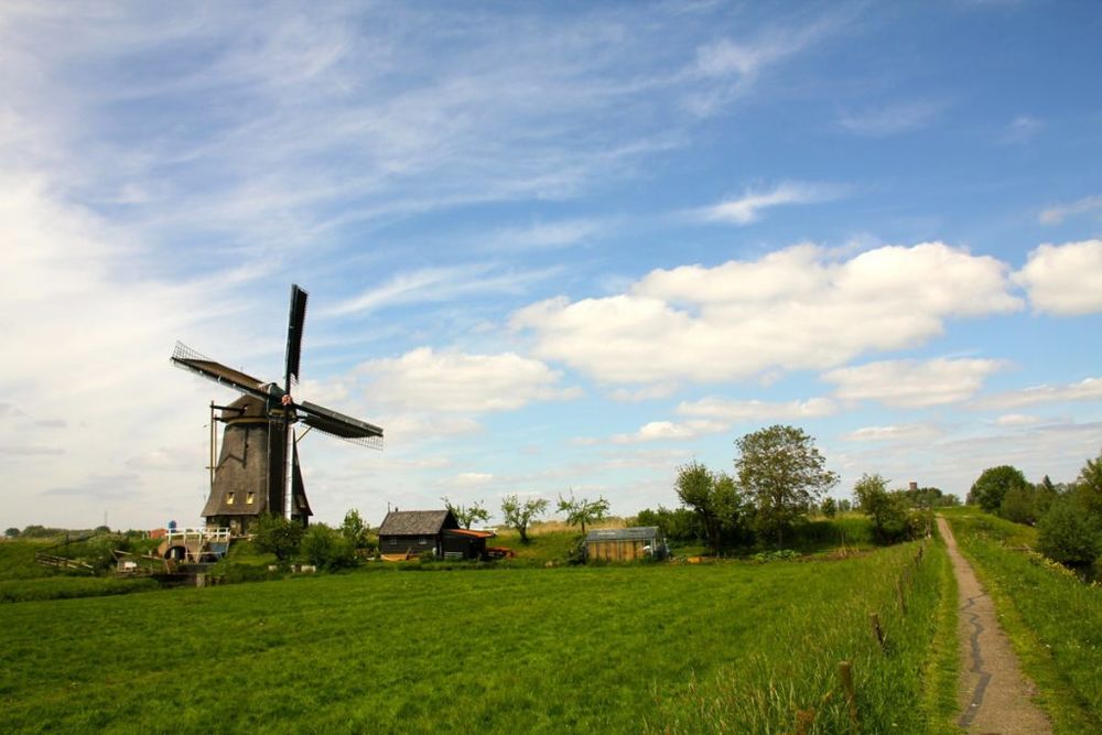 Amsterdam holiday, Kinderdijk windmills